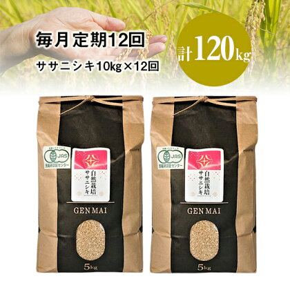 定期便 12ヶ月 自然栽培米 ササニシキ 10kg (5kg×2) 毎月 12回 お米 12times