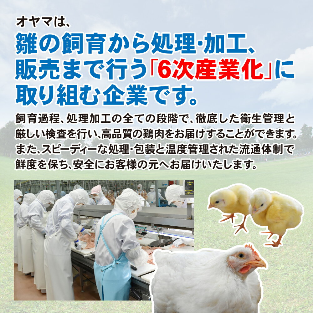 【ふるさと納税】国産 鶏肉 もも肉 2kg×6袋 冷凍 12kg もも とり肉 オヤマ鶏 おうちごはん お弁当 おかず 常備菜 おすすめ 唐揚げ 大容量 BBQ たっぷり 家計応援