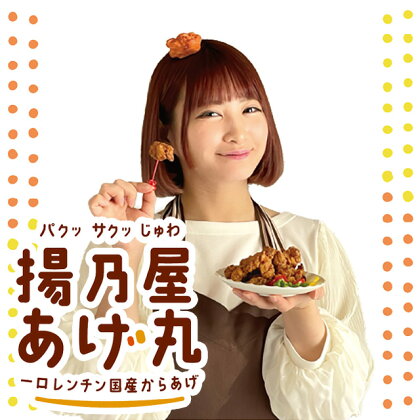 「揚乃屋あげ丸」～一口レンチン国産からあげ～ 300g×3袋 有野いく さん プロデュース【 唐揚げ から揚げ からあげ 国産 奥州いわいどり 鶏肉 肉 味噌 冷凍 小分け お弁当 おかず 惣菜 お惣菜 おすすめ 人気 簡単 レンジ レンチン 岩手 一関 】