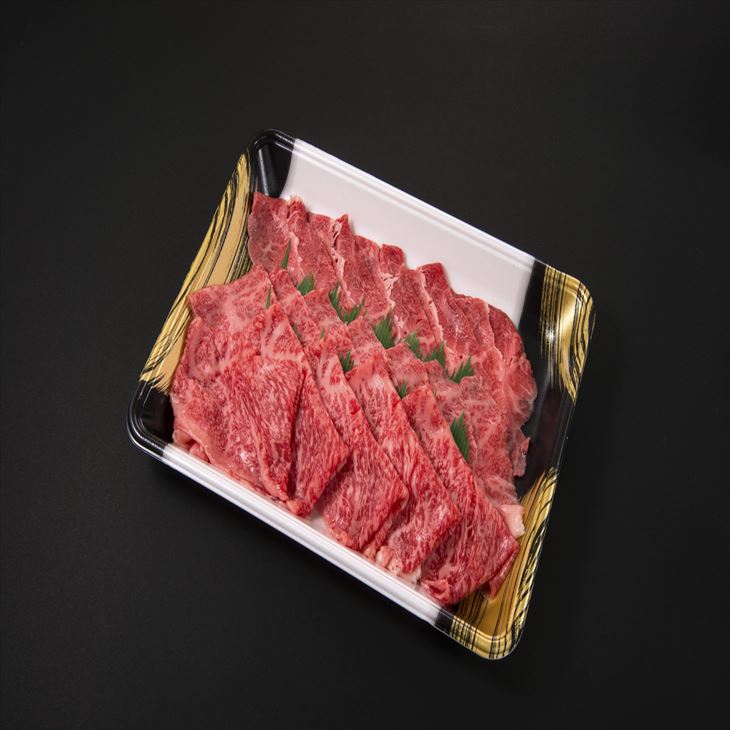 門崎熟成肉 焼肉おもてなしセット(3種/500g)