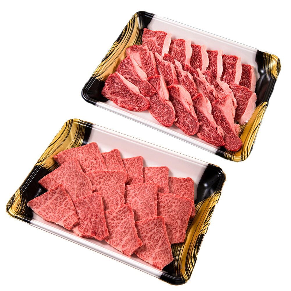 【ふるさと納税】格之進 門崎熟成肉 カルビ焼肉(500g)+特選カルビ焼肉(500g) 牛肉 BBQ 冷凍 人気