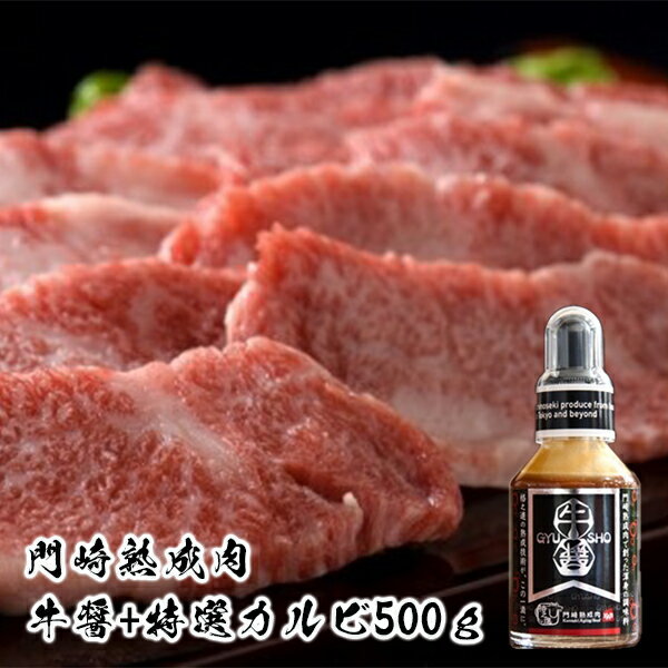 【ふるさと納税】肉 霜降り｜門崎熟成肉 特選 カルビ 500g 牛醤1本 セット 格之進 プレミアム 送料無料 無添加 高級 国産 牛肉 肉 岩手 一関 贈り物 ギフト お取り寄せ 冷凍 人気 バーベキュー…