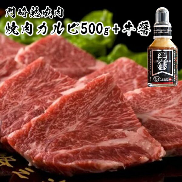 【ふるさと納税】肉 霜降り｜門崎熟成肉 焼肉カルビ500g 牛醤1本 セット 格之進 プレミアム 送料無料 無添加 高級 国産 牛肉 肉 岩手 一関 贈り物 ギフト お取り寄せ 冷凍 人気 バーベキュー B…