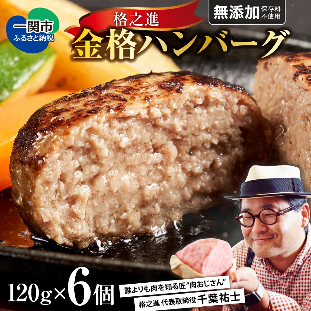 24位! 口コミ数「96件」評価「4.81」格之進 金格 ハンバーグ ( 120g × 6個 ) [ 無添加 ] 冷凍 小分け 個包装 高評価 ☆4.8以上 人気 プレミアム ハンバー･･･ 