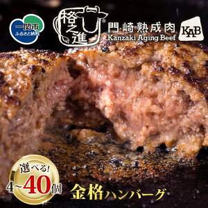 【ふるさと納税】\TVで紹介されました!/ 格之進 金格 ハンバーグ 選べる 120g×4個~40個 ふるさと納税 ハンバーグ 牛肉 豚肉 国産 冷凍 湯煎 個包装 小分け 便利 簡単調理 惣菜 夕食 おかず お惣菜 贈答 ギフト TV紹介 人気 おすすめ 高評価 送料無料 岩手県 一関市
