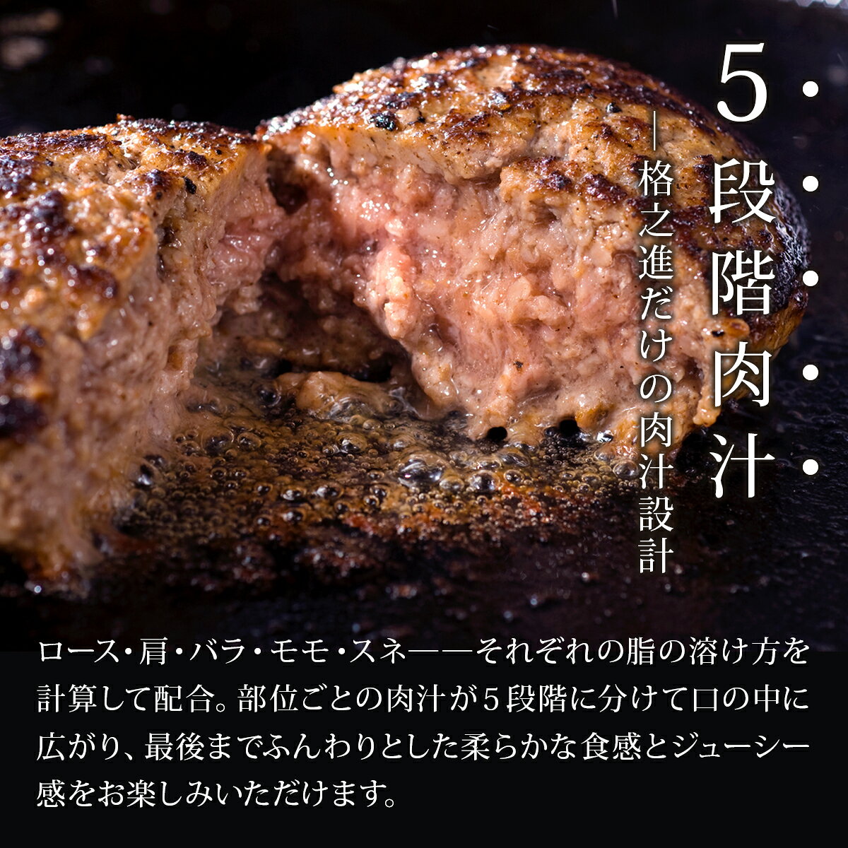 【ふるさと納税】レビューキャンペーン開催中！ ★4.7 格之進 金格 ハンバーグ 選べる 120g×4個〜41個 ハンバーグ 牛肉 豚肉 国産 冷凍 湯煎 個包装 小分け 便利 簡単 惣菜 夕食 おかず 贈答 ギフト 人気 おすすめ 高評価 岩手県 一関市