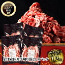 【ふるさと納税】〈格之進〉 国産牛 切り落とし 1.2kg(300g×4パック) 冷凍 小分け 【 肉 牛肉 大容量 岩手県産 家計応援 プレミアム 無添加 高級 国産 贈り物 ギフト お取り寄せ 人気 キャンプ キャンプ飯 鍋 お鍋 バーベキュー BBQ 一関 岩手県 】