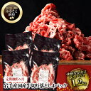 【ふるさと納税】【 定期便 6ヶ月 】 格之進 牛肉 切り落とし 1.2kg ( 300g × 4袋 ) 国産牛 岩手県産 【 肉 牛 高級 プレミアム 小分け...