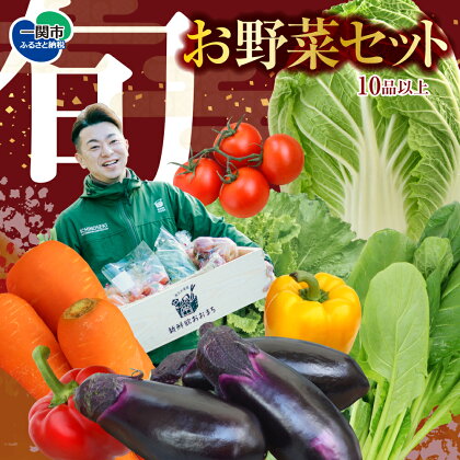 野菜 お楽しみ 野菜セット 旬 新鮮 詰め合わせ 10品以上 果物 フルーツ ギフト 直送 農家 おまかせ お取り寄せ 産直直送 産直 冬 春 サラダ 詰合せ りんご きのこ