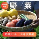 【ふるさと納税】野菜 定期便 12回 野菜セット 旬 新鮮 詰め合わせ セット ギフト 直送 農家 夏野菜 おまかせ お取り寄せ 産直直送 産直 秋 冬 サラダ 詰合せ 12times