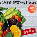 【ふるさと納税】定期便 12回 野菜 お試し 野菜セット お楽しみ 旬 新鮮 詰め合わせ 7~8品 ふるさと納税 果物 フルーツ ギフト 直送 農家 おまかせ お取り寄せ 産直直送 産直 冬 春 サラダ 詰合せ りんご きのこ 12times