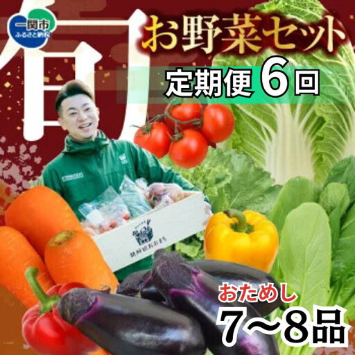 【ふるさと納税】定期便 6回 野菜 お試し 野菜セット お楽しみ 旬 新鮮 詰め合わせ 7〜8品 果物 フルーツ ギフト 直送 農家 おまかせ お取り寄せ 産直直送 産直 冬 春 サラダ 詰合せ りんご きのこ 6times 【ふるさと納税】定期便 6回 野菜 お試し 野菜セット お楽しみ 旬 新鮮 詰め合わせ 7〜8品 果物 フルーツ ギフト 直送 農家 おまかせ お取り寄せ 産直直送 産直 冬 春 サラダ 詰合せ りんご きのこ 6times