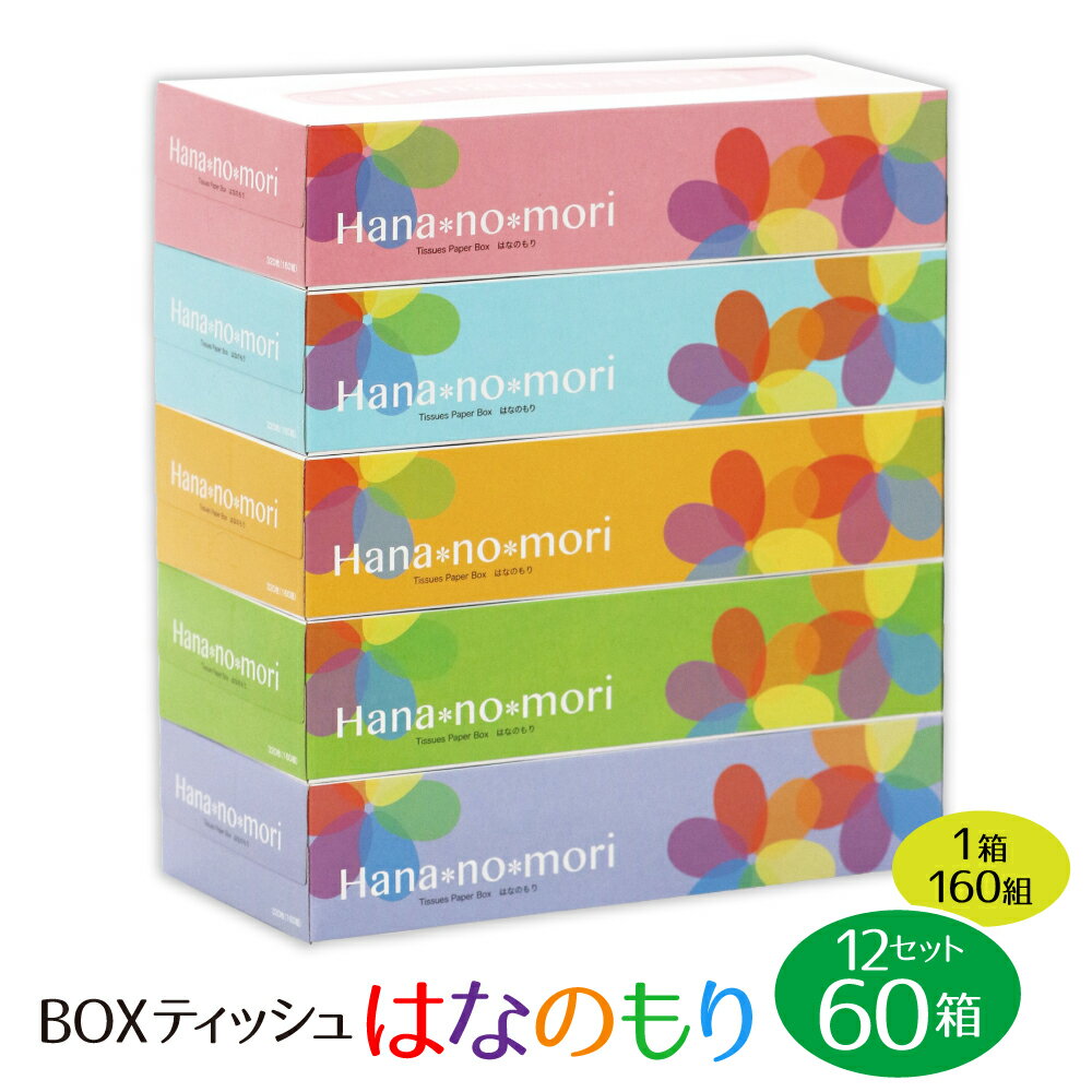 発送時期が選べる ティッシュ 60箱 (5箱×12セット) 160組 320枚 パルプ100% はなのもり ティッシュペーパー 日用品 ボックス boxティッシュ 日用雑貨 紙 生活必需品 物価高騰対策 防災 備蓄 生活雑貨 収納 防災 備蓄 箱 岩手県 一関市 選べる配送月 新生活