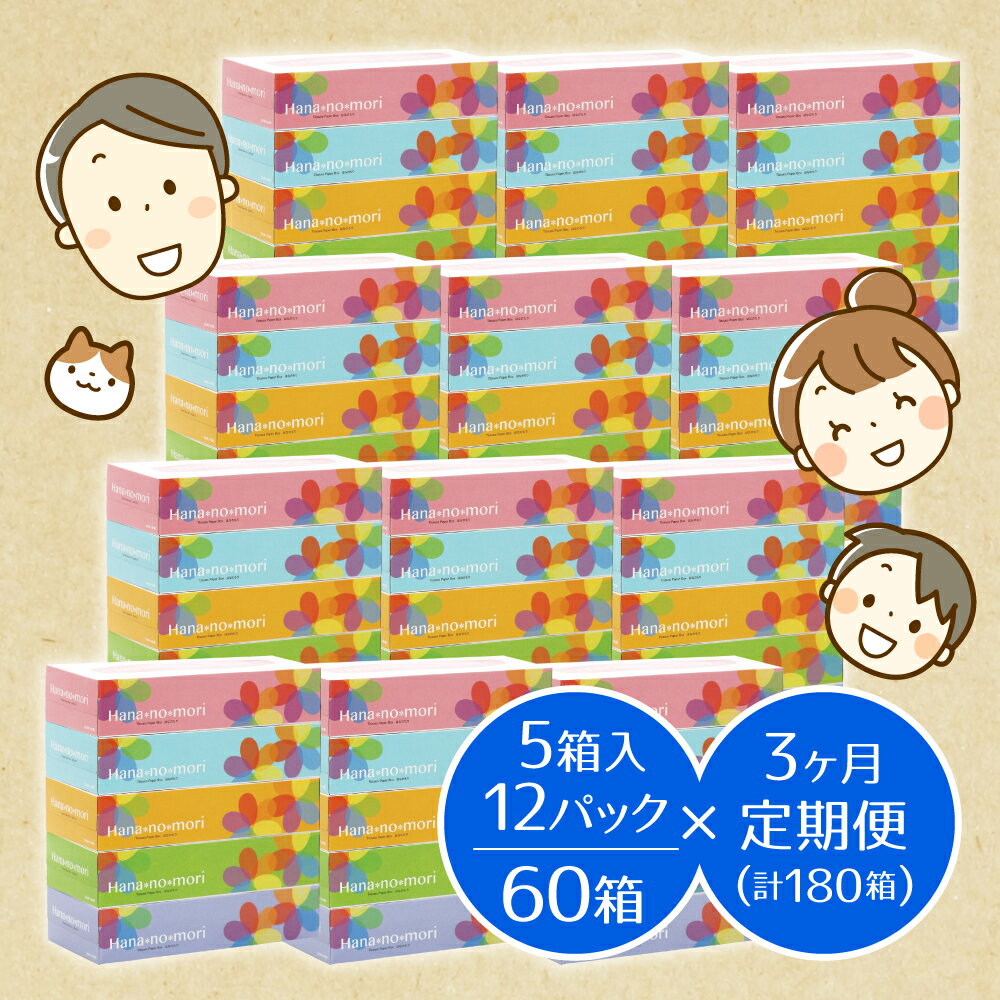 【ふるさと納税】定期便 3回 BOX ティッシュ ペーパー 60箱(5箱×12セット)160組320枚 はなのもり パルプ100% ティッシュペーパー 日用品 ボックス ティシュ 一関 防災 備蓄 箱 3times 3