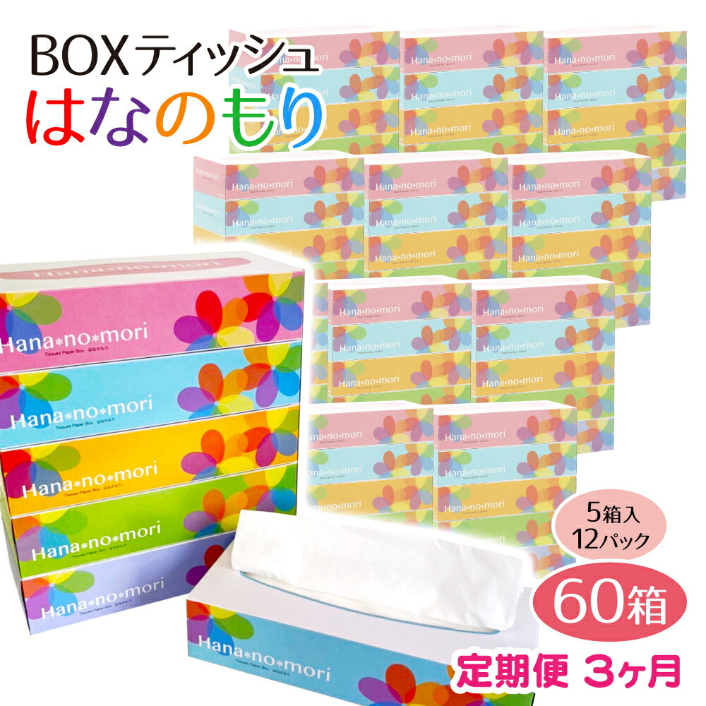 【ふるさと納税】定期便 3回 BOX ティッシュ ペーパー 60箱(5箱×12セット)160組320枚 はなのもり パル...