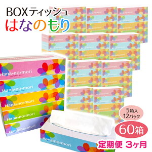 【ふるさと納税】定期便 3回 BOX ティッシュ ペーパー 60箱(5箱×12セット)160組320枚 はなのもり パルプ100% ティッシュペーパー 日用品 ボックス ティシュ 一関 防災 備蓄 箱 3times