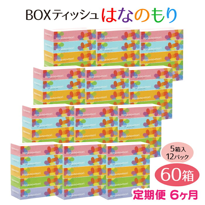 【ふるさと納税】定期便 6回 BOX ティッシュ ペーパー 60箱(5箱×12セット)160組320枚 はなのもり パルプ100% ティッシュペーパー 日用品 ボックス ティシュ 一関 防災 備蓄 箱