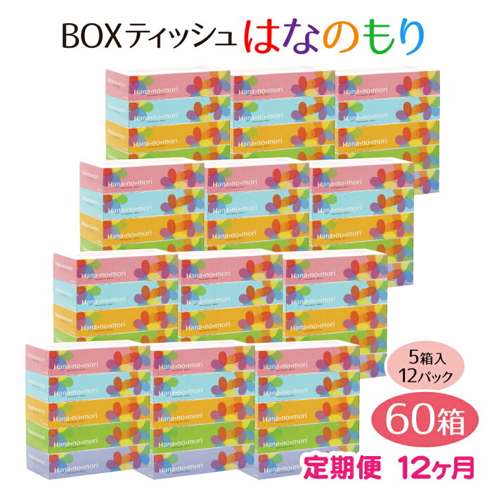 【ふるさと納税】定期便 12回 BOX ティッシュ ペーパー 60箱(5箱×12セット)160組320枚 はなのもり パルプ100% ティッシュペーパー 日用品 ボックス ティシュ 一関 防災 備蓄 箱