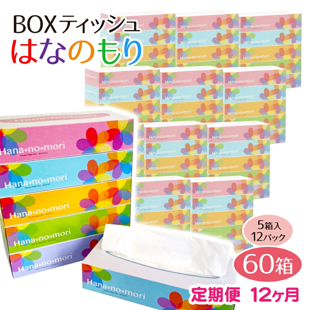 【ふるさと納税】定期便 12回 BOX ティッシュ ペーパー 60箱(5箱×12セット)160組320枚 はなのもり パルプ100% ティッシュペーパー 日用品 ボックス ティシュ 一関 防災 備蓄 箱 12times