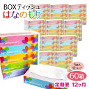 20位! 口コミ数「1件」評価「5」定期便 12回 BOX ティッシュ ペーパー 60箱(5箱×12セット)160組320枚 はなのもり パルプ100% ティッシュペーパー 日･･･ 