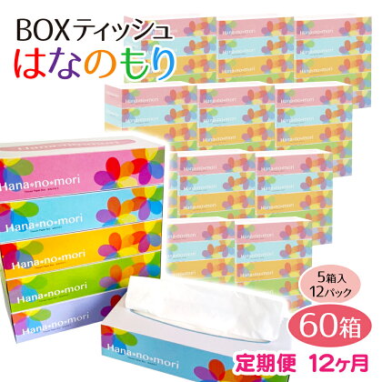 定期便 12回 BOX ティッシュ ペーパー 60箱(5箱×12セット)160組320枚 はなのもり パルプ100% ティッシュペーパー 日用品 ボックス ティシュ 一関 防災 備蓄 箱 12times