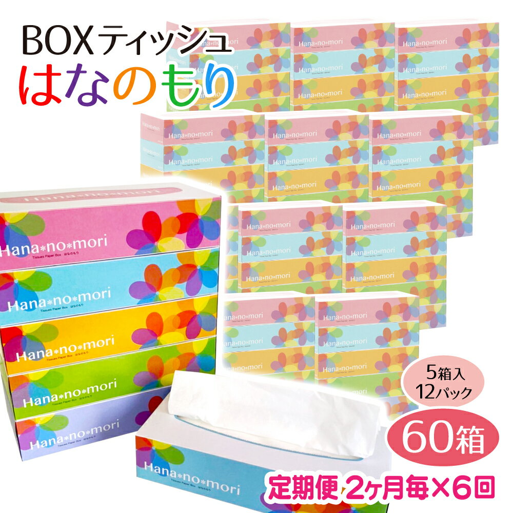 定期便 6回 隔月 BOX ティッシュ ペーパー 60箱(5箱×12セット)160組320枚 はなのもり パルプ100% ティッシュペーパー 日用品 ボックス ティシュ 一関 防災 備蓄 箱 6times