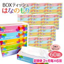 【ふるさと納税】定期便 6回 隔月 BOX ティッシュ ペー