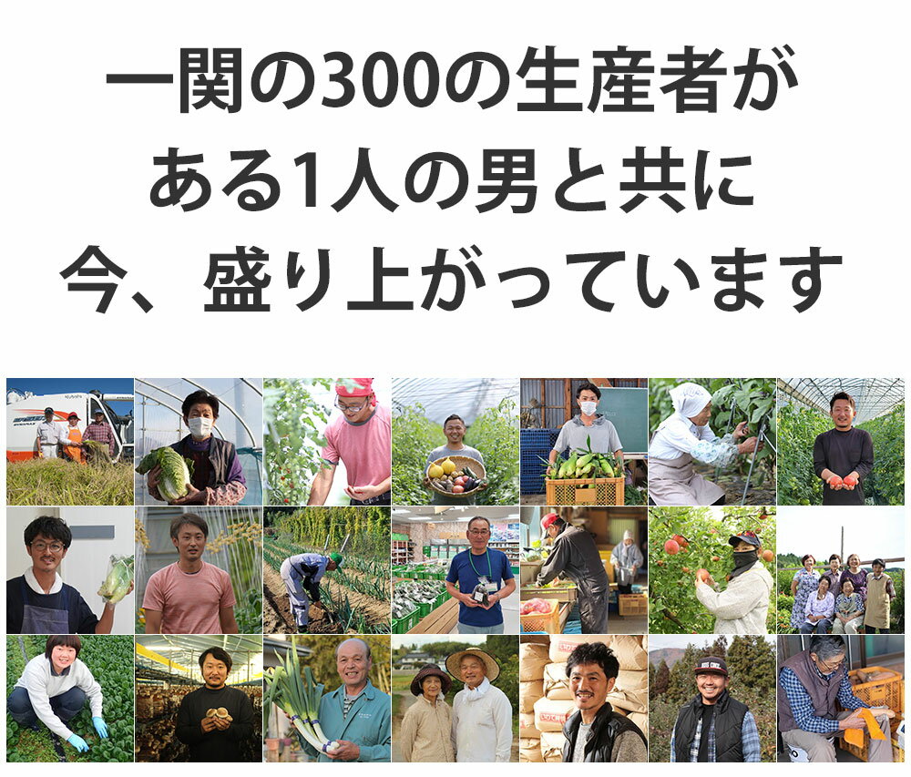 【ふるさと納税】定期便 3ヵ月 野菜 お試し 野菜セット お楽しみ 旬 新鮮 詰め合わせ 7～8品 果物 フルーツ ギフト 直送 農家 おまかせ お取り寄せ 産直直送 産直 冬 春 サラダ 詰合せ りんご きのこ 3times