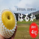 【ふるさと納税】先行予約 訳あり りんご「はるか」約4kg 家庭用 数量限定