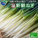 【ふるさと納税】先行予約【訳あり】牛飼いの手から届く、こだわりの新鮮ねぎ Lサイズ 45本 ふるさと納税 長ねぎ 産直直送 産直