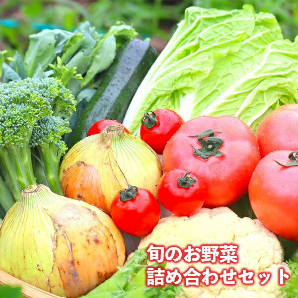 【ふるさと納税】野菜 定期便 3回 お楽しみ 3回 野菜セッ