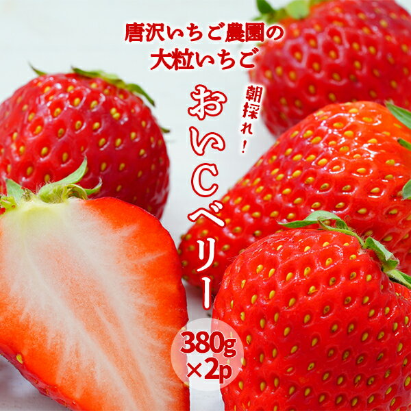 大粒いちご おいCべりー 760g(380g×2パック) 朝採り 産地直送 果物 フルーツ イチゴ 苺 岩手県 一関市 先行予約 2月上旬〜順次発送予定