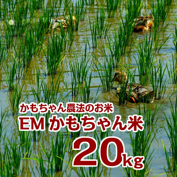 【ふるさと納税】令和5年産 EMかもちゃん米 20kg 選べ