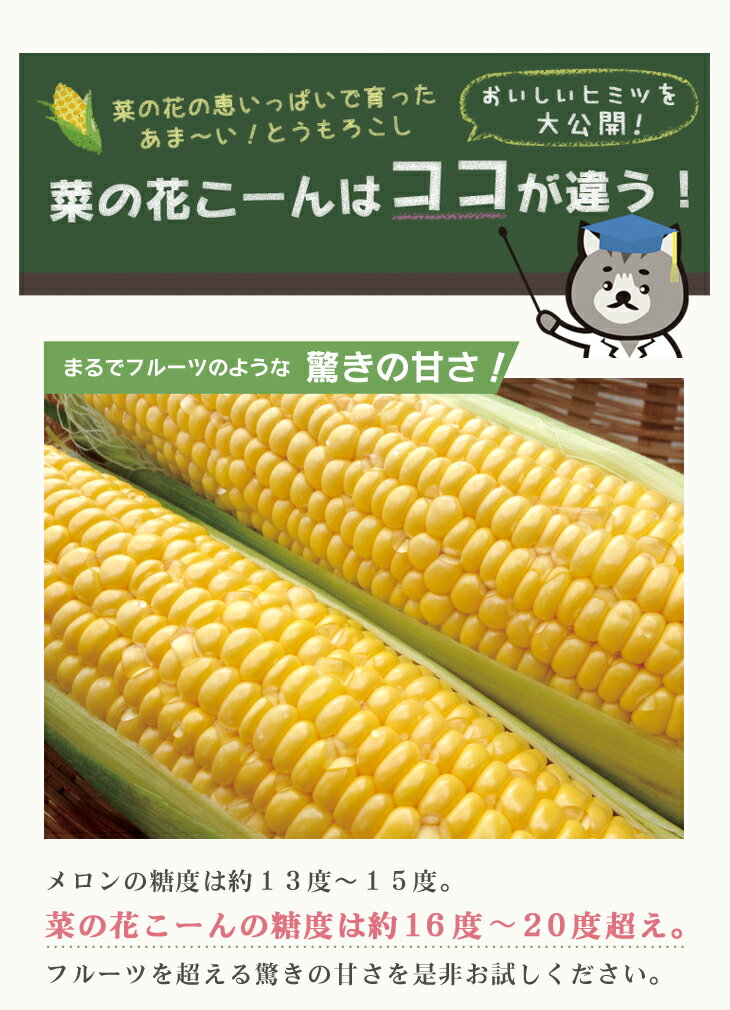 【ふるさと納税】 高糖度 とうもろこし 濃厚 生食 菜の花こーん A2Lサイズ 5本 朝採り 農家直送 もぎたて ≪先行予約 2024年7月下旬〜 順次発送≫