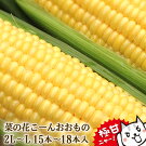 【ふるさと納税】菜の花こーん2L〜Lサイズ15〜18本