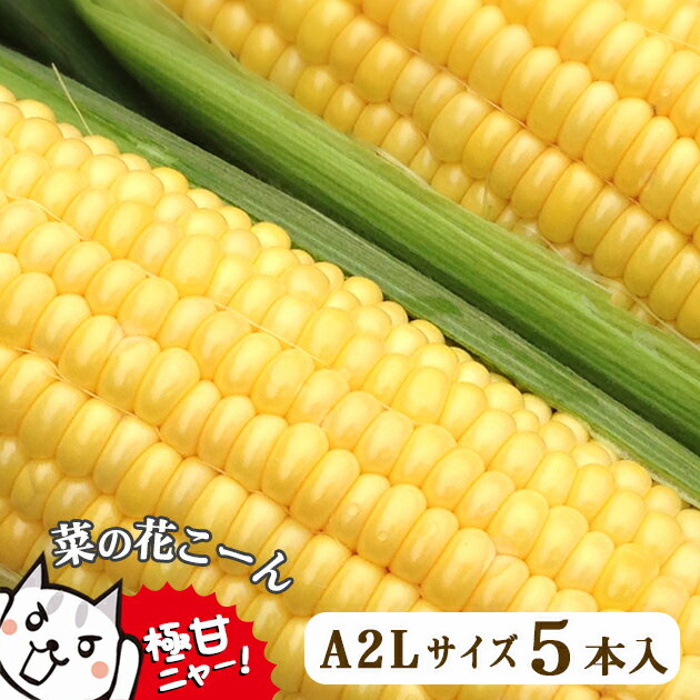 53位! 口コミ数「18件」評価「4.83」 高糖度 とうもろこし 濃厚 生食 菜の花こーん A2Lサイズ 5本 朝採り 農家直送 もぎたて ≪先行予約 2024年7月下旬〜 順次発送･･･ 