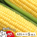 野菜・きのこ(とうもろこし)人気ランク26位　口コミ数「18件」評価「4.83」「【ふるさと納税】 高糖度 とうもろこし 濃厚 生食 菜の花こーん A2Lサイズ 5本 朝採り 農家直送 もぎたて ≪先行予約 2024年7月下旬〜 順次発送≫」