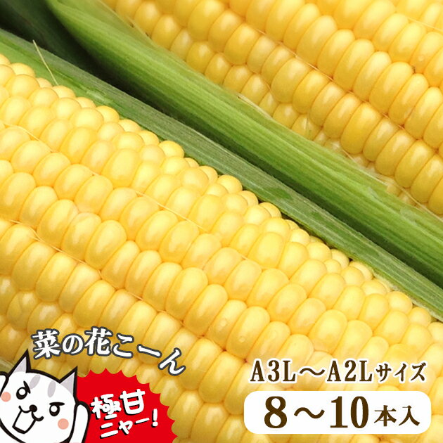 【ふるさと納税】 高糖度 とうもろこし 濃厚 生食 菜の花こーん A3L～A2Lサイズ 8〜10本 朝採り 農家直送 もぎたて ≪先行予約 2024年7月下旬〜 順次発送≫