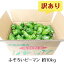 【ふるさと納税】≪先行予約≫ 訳あり 不揃い 新鮮 ピーマン 10kg 野菜 朝採れ 農家直送 規格外 ワケあり 6月~10月発送 家計応援 12,000円