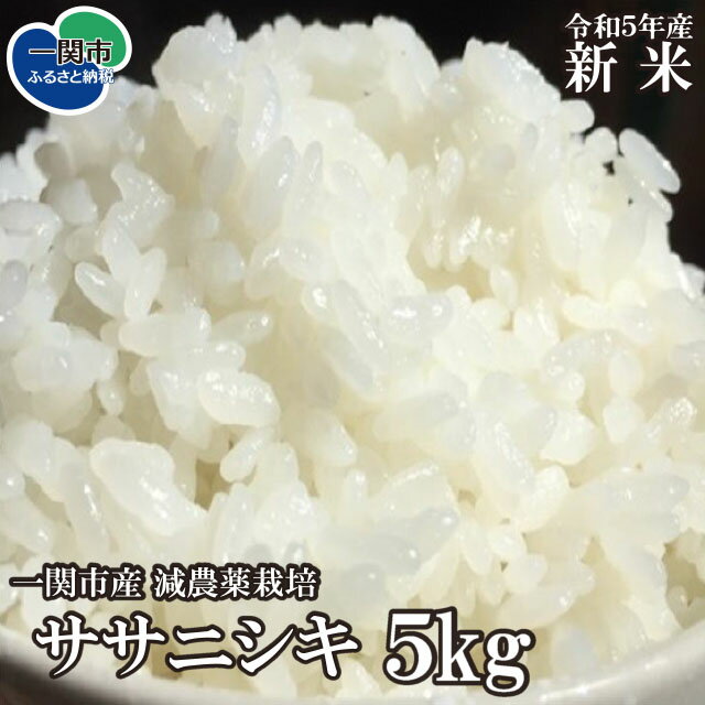 令和5年産 ササニシキ 精米 5kg succhan farm