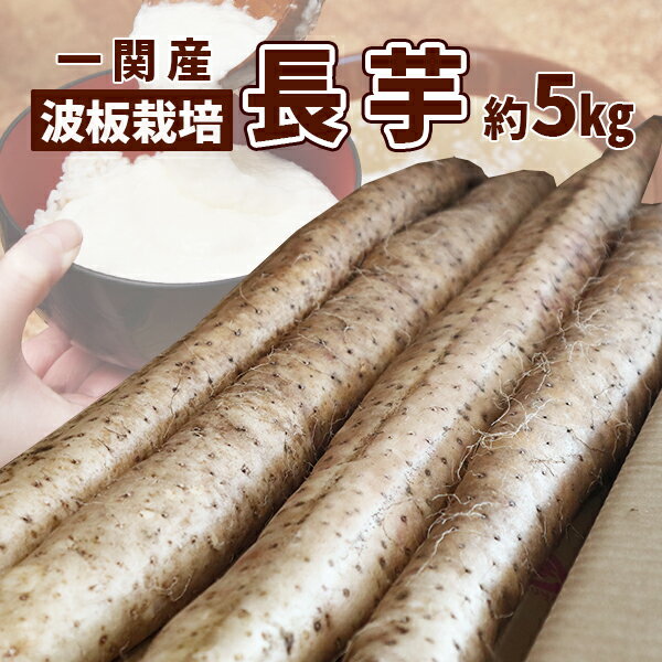 【ふるさと納税】長芋 5kg (4〜5本) 秋堀り 岩手県産 農園直送 長いも と...