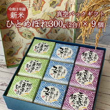 【ふるさと納税】ひとめぼれ 300g(2合)×9個 真空パック ギフト(化粧箱入) 令和3年産米 一関市産