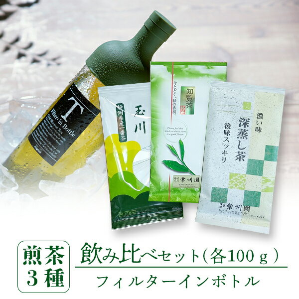 5位! 口コミ数「0件」評価「0」煎茶3種『玉川100g・知覧茶100g・深蒸茶100g』とフィルターインボトル 飲み比べセット　父の日