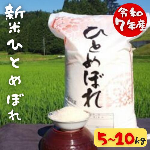 【ふるさと納税】《 新米 令和7年産 》大自然で育てた ひとめぼれ 5kg・10kg 選べる内容量 米 白米 精米 ご飯 ごはん コメ こめ 岩手県 一関市