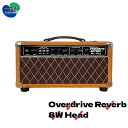 【ふるさと納税】 <ギターアンプ> ギター チューブアンプ Overdrive Reverb 8W Head ダンブル クローン 幻の 手作り 高級 アンプ オーダーメイド カスタム ハンドワイヤード