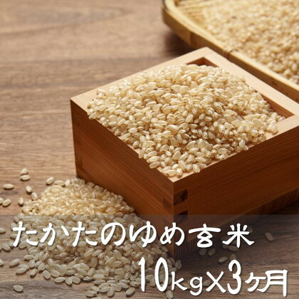 定期便 玄米 30kg 10kg×3ヶ月 地域ブランド米 令和5年度産 米 たかたのゆめ 陸前高田