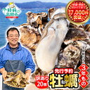 【ふるさと納税】訳あり 牡蠣 20個 殻付き 生食 (ナイフ・軍手・剥き方説明書付き)[ ワケあり 規格外 不揃い かき カキ 生牡蠣 真牡蠣 新鮮 海鮮 鍋 ...