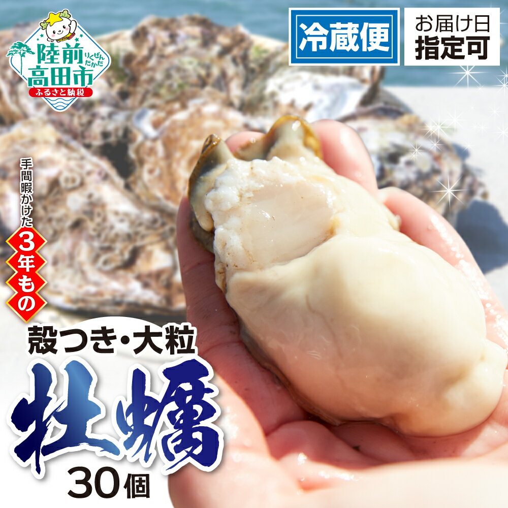 【ふるさと納税】 発送時期が選べる 牡蠣 殻付き 生食 30個 大粒 (ナイフ・軍手・剥き方説明書付き)【 真牡蠣 牡蠣 殻付き牡蠣 かき カキ 岩手 陸前高田 魚介 海産物 海鮮 生牡蠣 産地直送 BBQ 鍋 牡蠣鍋 マルテン水産 発送時期が選べる 日時指定 期日指定 】のサムネイル
