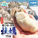 【ふるさと納税】 牡蠣 殻付き 生食 15個 冷蔵 大粒 (ナイフ・軍手・剥き方説明書付き)[ 真牡蠣 牡蠣 かき カキ 生牡蠣 生食用 旬 新鮮 海鮮 濃厚 ...