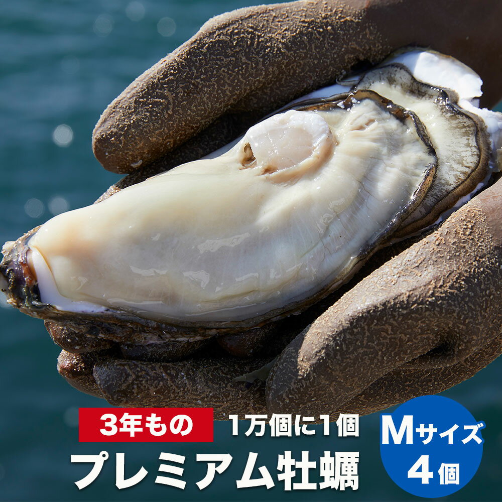 【ふるさと納税】 牡蠣 殻付き 生食 プレミアム Mサイズ 4個 大粒 三陸 マルテン水産 おいしい カキ かき 1万個に1個 大きい [先行予約/2024.1月より出荷開始]のサムネイル